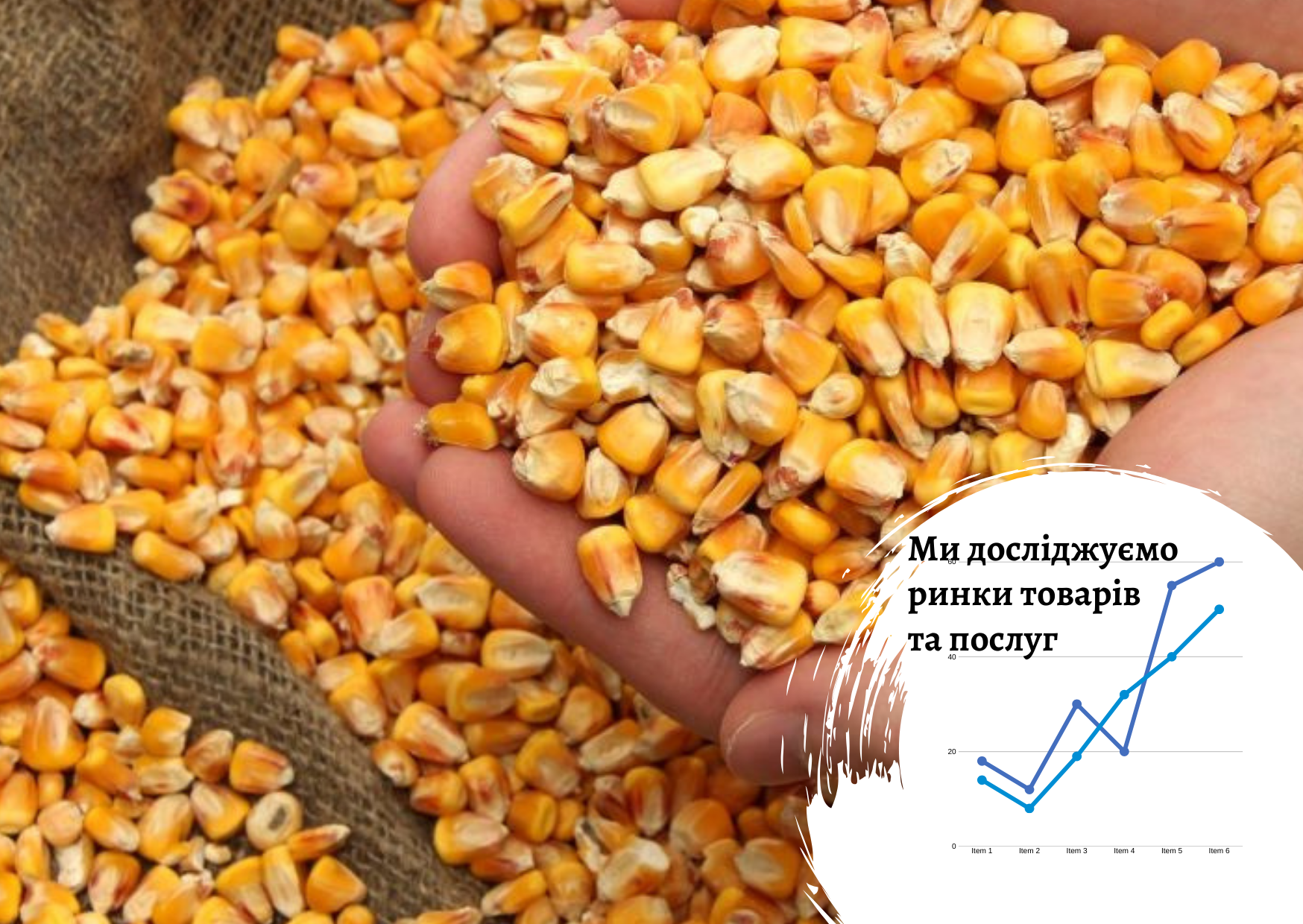 Рынок продуктов глубокой переработки кукурузы в Украине: перспективы развития